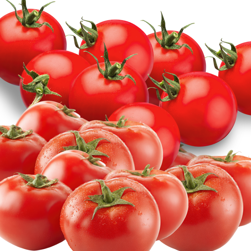 tomato
